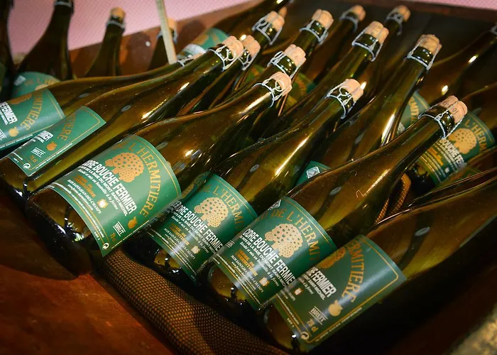 Szálloda Logis Restaurant Manoir De L'acherie 2*